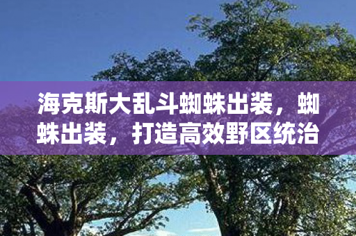 海克斯大乱斗蜘蛛出装，蜘蛛出装，打造高效野区统治力的关键