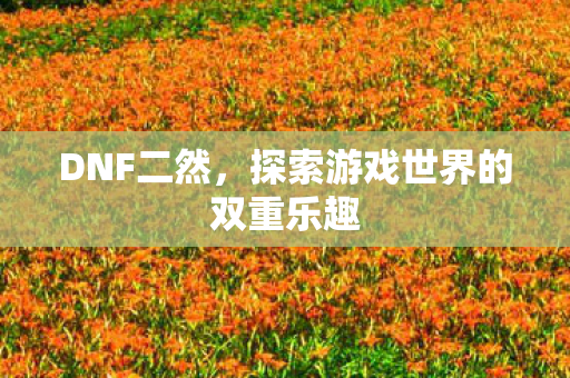 DNF二然,探索游戏世界的双重乐趣 DNF二然,探索游戏世界的双重乐趣
