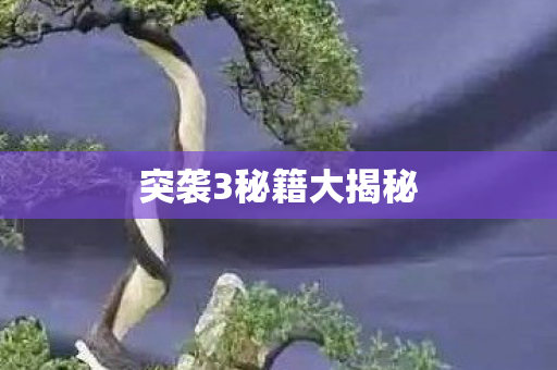 突袭3秘籍大揭秘