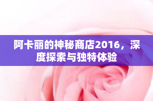 阿卡丽的神秘商店2016，深度探索与独特体验