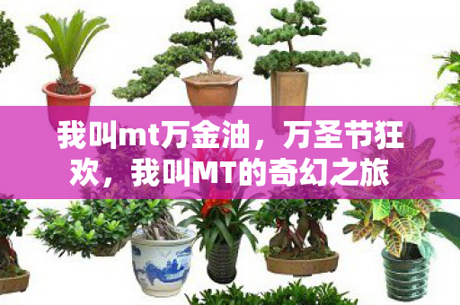 我叫mt万金油，万圣节狂欢，我叫MT的奇幻之旅
