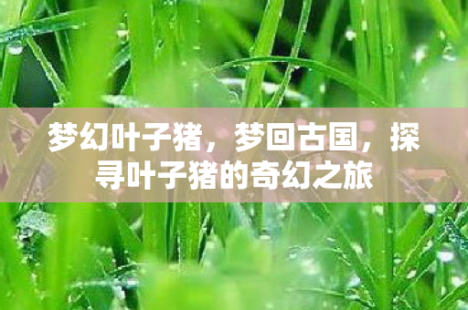 梦幻叶子猪，梦回古国，探寻叶子猪的奇幻之旅