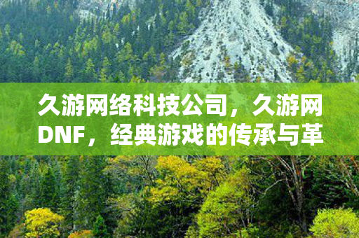 久游网络科技公司,久游网DNF,经典游戏的传承与革新 久游网络科技公司,久游网DNF,经典游戏的传承与革新
