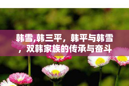 韩雪,韩三平，韩平与韩雪，双韩家族的传承与奋斗