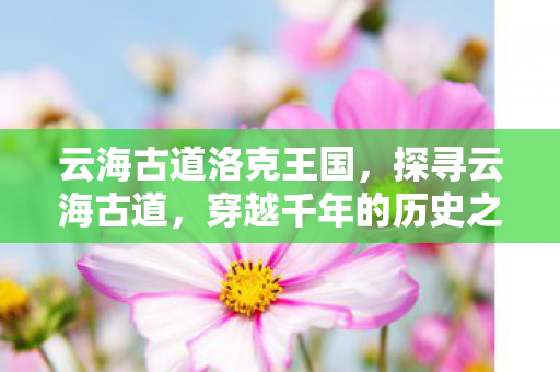 云海古道洛克王国,探寻云海古道,穿越千年的历史之旅 云海古道洛克王国,探寻云海古道,穿越千年的历史之旅