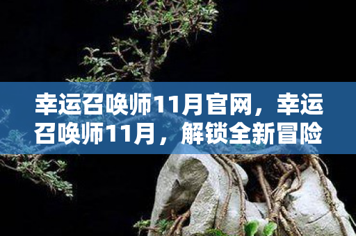 幸运召唤师11月官网，幸运召唤师11月，解锁全新冒险，挑战你的运气与策略