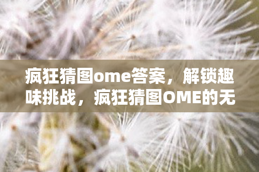 疯狂猜图OME的无限乐趣图片