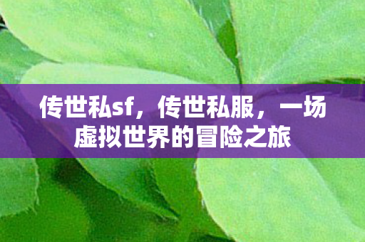 一场虚拟世界的冒险之旅图片