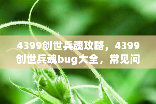 4399创世兵魂攻略,4399创世兵魂bug大全,常见问题与解决方案 4399创世兵魂攻略,4399创世兵魂bug大全,常见问题与解决方案