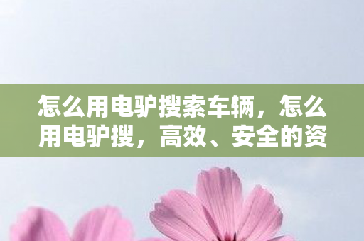 怎么用电驴搜索车辆，怎么用电驴搜，高效、安全的资源搜索技巧