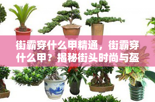 街霸穿什么甲精通，街霸穿什么甲？揭秘街头时尚与盔甲的跨界融合