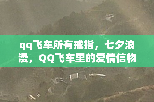 QQ飞车里的爱情信物图片