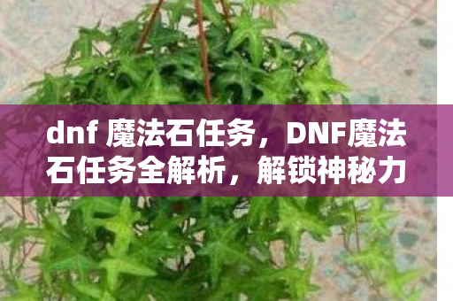 dnf 魔法石任务，DNF魔法石任务全解析，解锁神秘力量的关键步骤