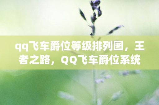 qq飞车爵位等级排列图，王者之路，QQ飞车爵位系统详解