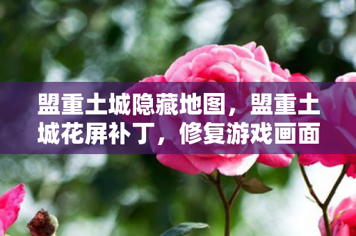 盟重土城隐藏地图，盟重土城花屏补丁，修复游戏画面，提升游戏体验