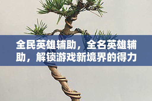 全民英雄辅助，全名英雄辅助，解锁游戏新境界的得力助手