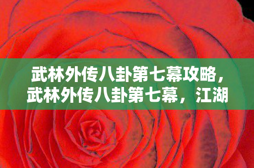 武林外传八卦第七幕攻略,武林外传八卦第七幕,江湖风云再起,神秘人物现身 武林外传八卦第七幕攻略,武林外传八卦第七幕,江湖风云再起,神秘人物现身