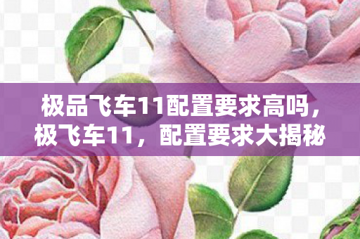 极品飞车11配置要求高吗，极飞车11，配置要求大揭秘