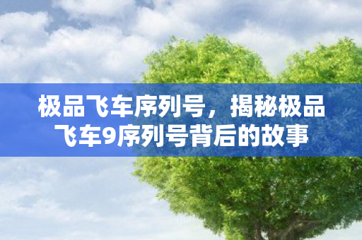 极品飞车序列号,揭秘极品飞车9序列号背后的故事 极品飞车序列号,揭秘极品飞车9序列号背后的故事