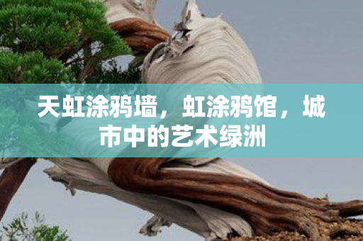 天虹涂鸦墙，虹涂鸦馆，城市中的艺术绿洲