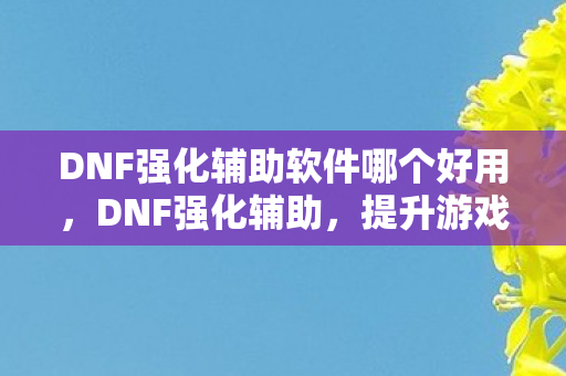 DNF强化辅助软件哪个好用，DNF强化辅助，提升游戏效率与乐趣的实用工具