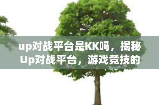 up对战平台是KK吗，揭秘Up对战平台，游戏竞技的新天地
