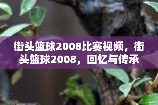 街头篮球2008比赛视频,街头篮球2008,回忆与传承的篮球盛宴 街头篮球2008比赛视频,街头篮球2008,回忆与传承的篮球盛宴