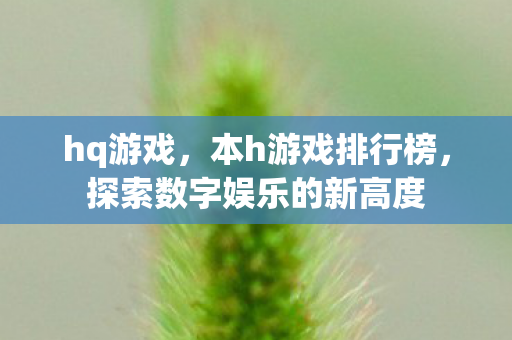 hq游戏,本h游戏排行榜,探索数字娱乐的新高度 hq游戏,本h游戏排行榜,探索数字娱乐的新高度