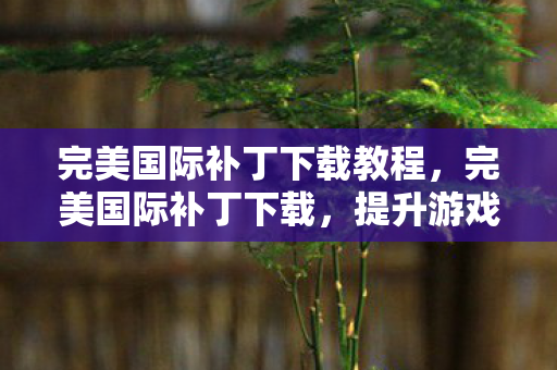 完美国际补丁下载教程,完美国际补丁下载,提升游戏体验的必备工具 完美国际补丁下载教程,完美国际补丁下载,提升游戏体验的必备工具