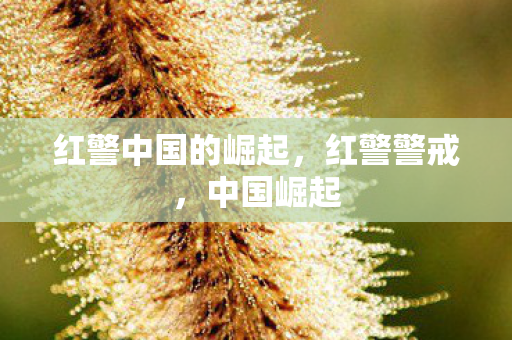 红警中国的崛起,红警警戒,中国崛起 红警中国的崛起,红警警戒,中国崛起