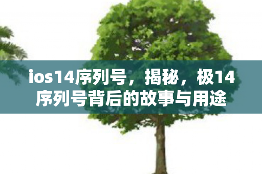 ios14序列号,揭秘,极14序列号背后的故事与用途 ios14序列号,揭秘,极14序列号背后的故事与用途