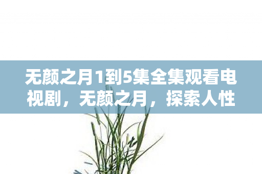 无颜之月1到5集全集观看电视剧，无颜之月，探索人性深处的隐秘角落