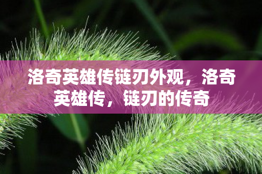 洛奇英雄传链刃外观,洛奇英雄传,链刃的传奇 洛奇英雄传链刃外观,洛奇英雄传,链刃的传奇