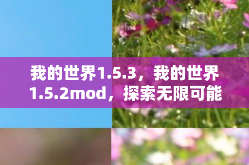 我的世界1.5.3，我的世界1.5.2mod，探索无限可能的经典版本