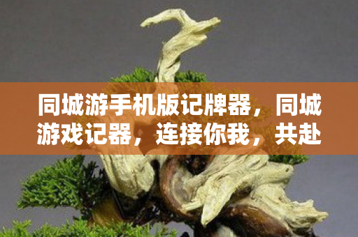 同城游手机版记牌器,同城游戏记器,连接你我,共赴欢乐时光 同城游手机版记牌器,同城游戏记器,连接你我,共赴欢乐时光