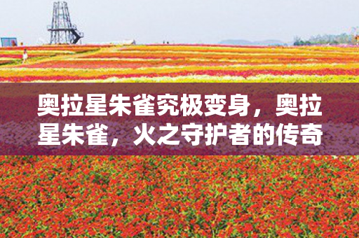 奥拉星朱雀究极变身，奥拉星朱雀，火之守护者的传奇