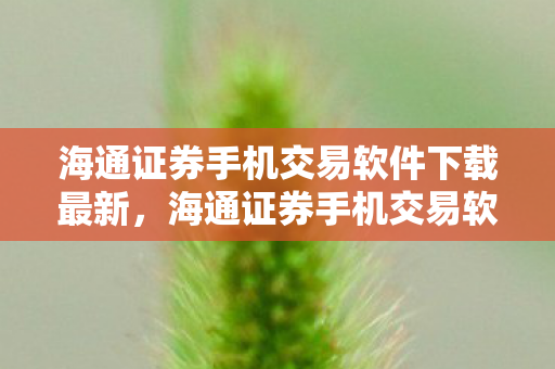 海通证券手机交易软件下载最新，海通证券手机交易软件下载指南