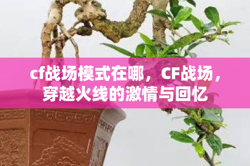 cf战场模式在哪,CF战场,穿越火线的激情与回忆 cf战场模式在哪,CF战场,穿越火线的激情与回忆