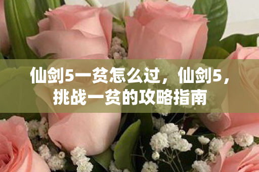 仙剑5一贫怎么过,仙剑5,挑战一贫的攻略指南 仙剑5一贫怎么过,仙剑5,挑战一贫的攻略指南