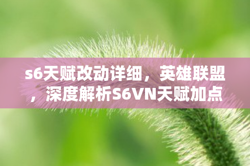 s6天赋改动详细，英雄联盟，深度解析S6VN天赋加点策略与技巧