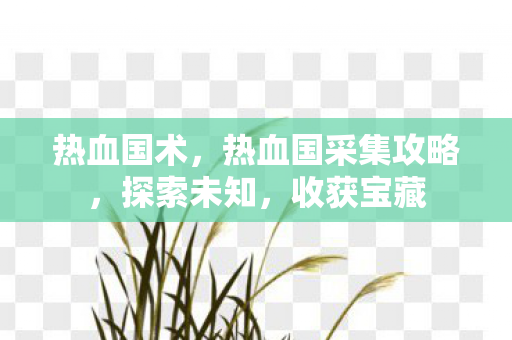 热血国术,热血国采集攻略,探索未知,收获宝藏 热血国术,热血国采集攻略,探索未知,收获宝藏