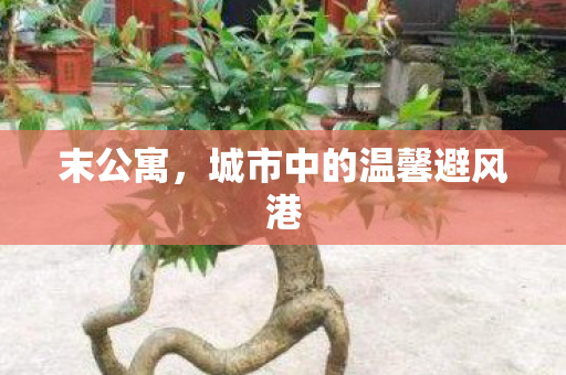 末公寓,城市中的温馨避风港 末公寓,城市中的温馨避风港