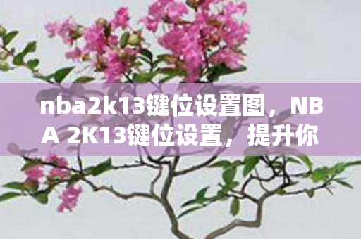 nba2k13键位设置图,NBA 2K13键位设置,提升你的游戏技巧 nba2k13键位设置图,NBA 2K13键位设置,提升你的游戏技巧