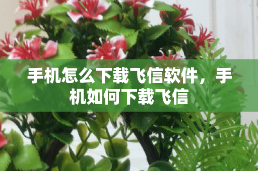 手机怎么下载飞信软件，手机如何下载飞信