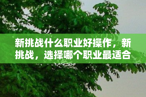 新挑战什么职业好操作,新挑战,选择哪个职业最适合你? 新挑战什么职业好操作,新挑战,选择哪个职业最适合你?