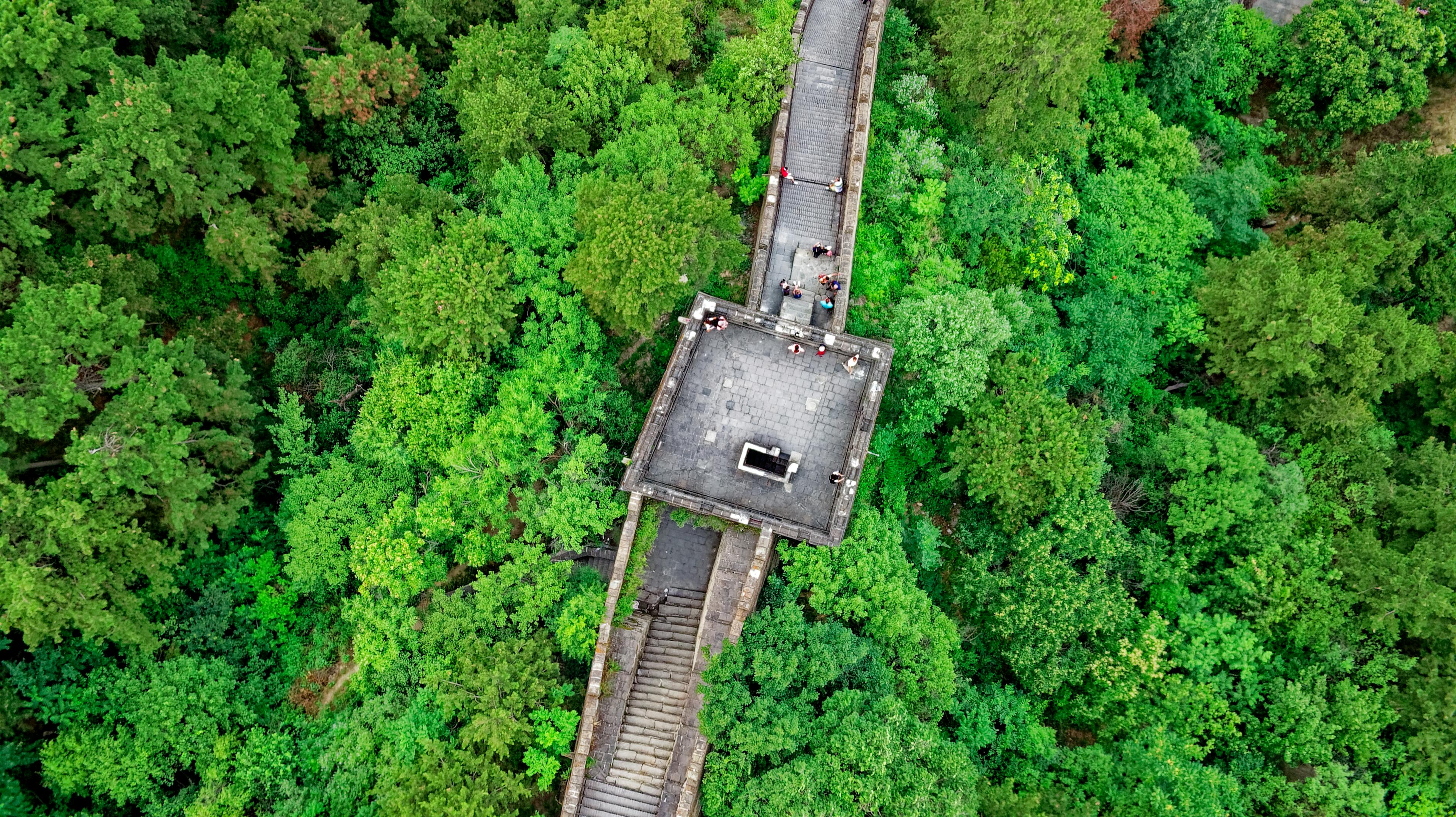 探索王国，新领地——一场历史与奇幻交织的冒险之旅