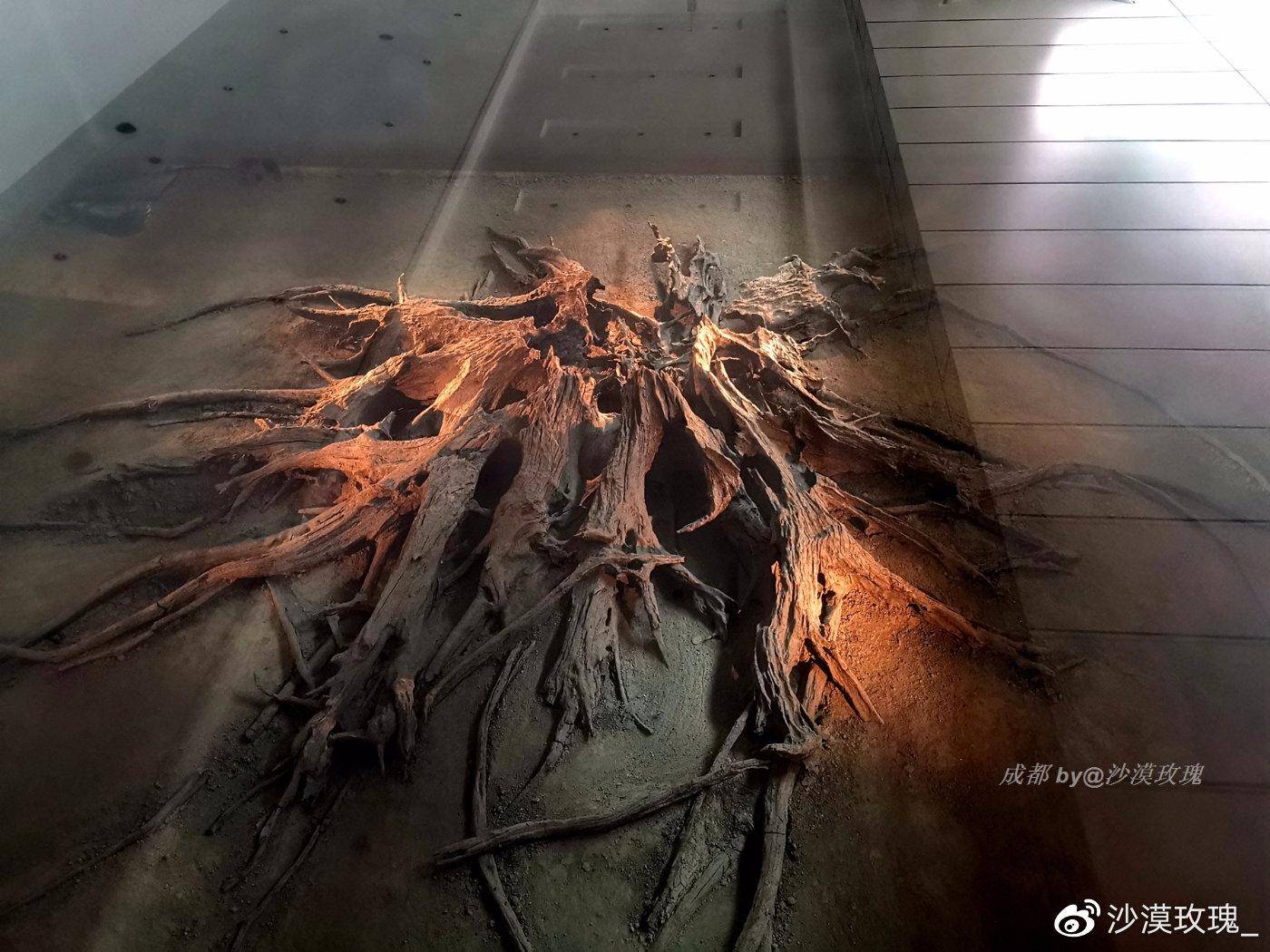 蜀仙传，蜀仙，探寻古蜀文化的神秘面纱