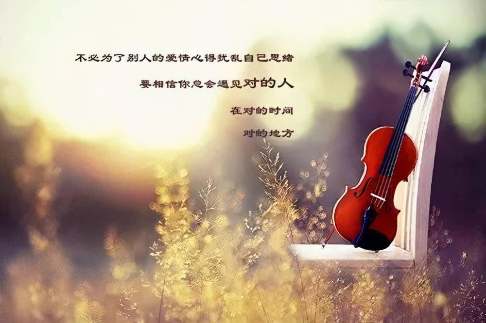 情归故里在线观看，情归故里，重拾那些被时光遗忘的温暖
