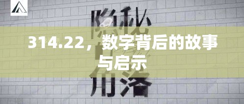 314.22，数字背后的故事与启示