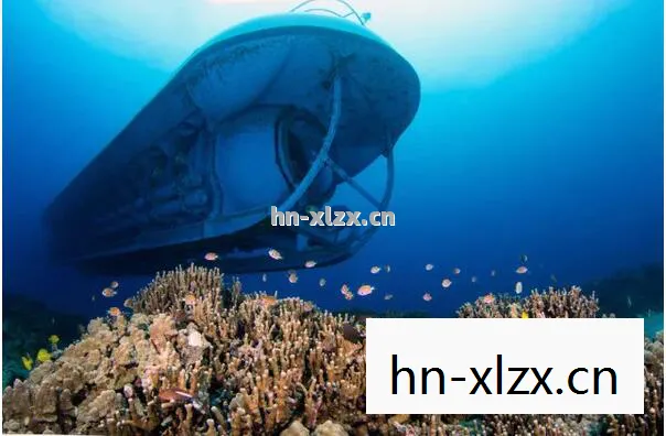 探索海洋的奥秘，OurFishBox带来的沉浸式海洋体验